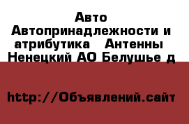 Авто Автопринадлежности и атрибутика - Антенны. Ненецкий АО,Белушье д.